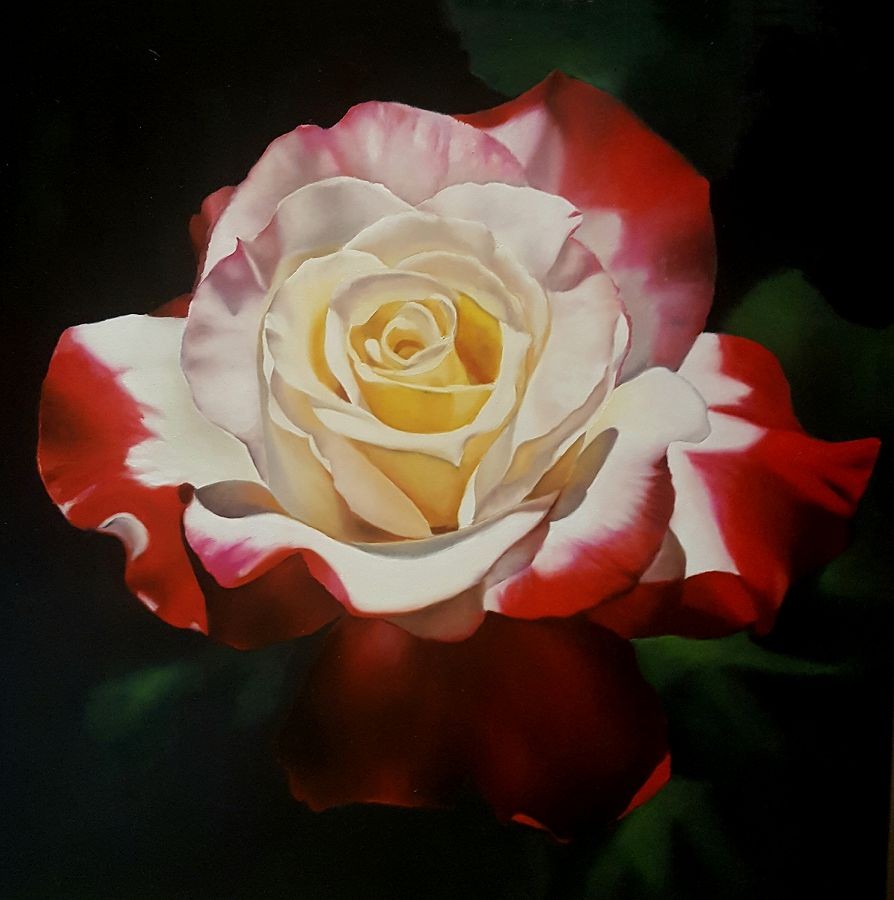 The Gift of Love by Stefan Rossouw